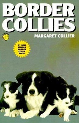 Border collies - border,