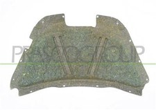 PANNELLO INSONORIZZATORE