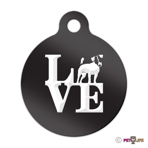 Love jack russell terrier - jack,