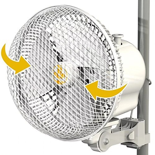 Ventilatore scimmia giardino - ventilatore,