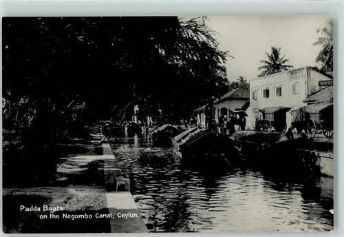 10301331 cartolina negombo - 10301331,