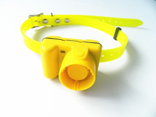 Beeper collare per - beeper,