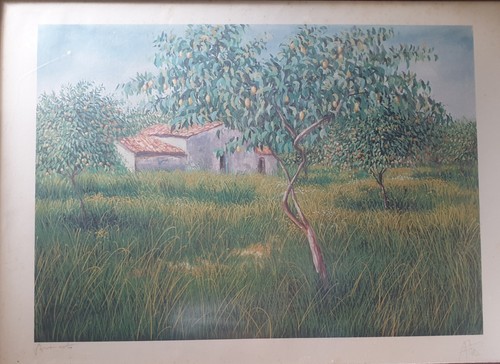 Franco azzinari arte - franco,