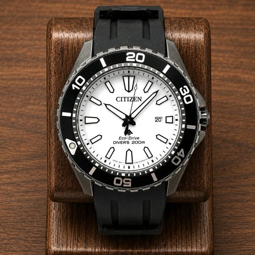 Citizen promaster eco drive - promaster,