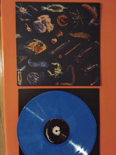 Alessandro fiori plancton - fiori, lp