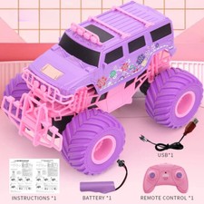 Giocattolo Ragazza Rosa RC