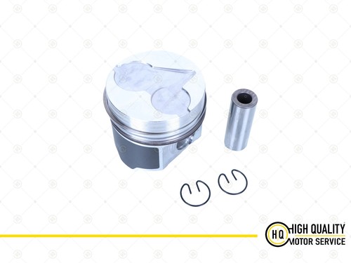 Piston with ring - ring, for