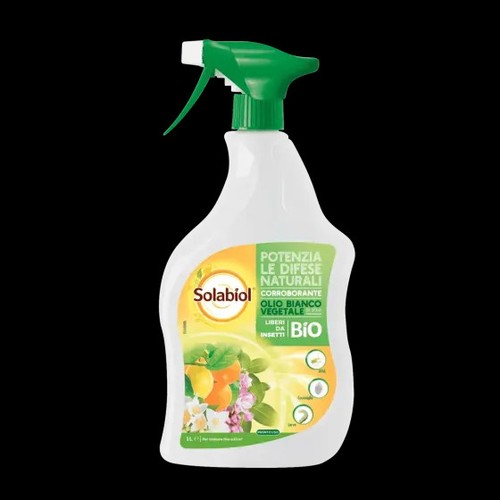 Olio bianco vegetale pronto - olio,