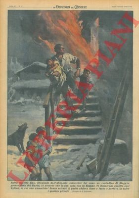 Beltrame svegliato - beltrame,