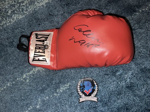 Guantone boxe firmato - da,