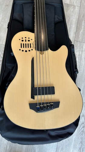 Basso elettrico acustico godin - basso,