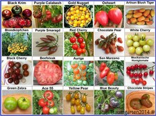  Set pomodoro 1: semi di