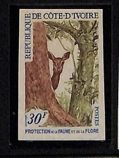 ZA0123c - COSTA D'AVORIO Costa d'Avorio - Francobollo IMPERF - ANIMALI cervo 1985