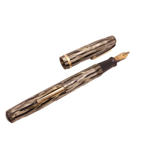 Penna stilografica wearever - stilografica,