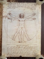 STAMPA / Poster - LEONARDO Da Vinci L'uomo Vitruviano - 69 x 49,5 cm ca.