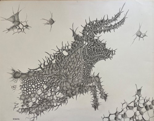 Zodiac taurus bull disegno - zodiac,