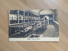 Cartolina F/P B/N N/V Campania Napoli Pompei Interno del museo 