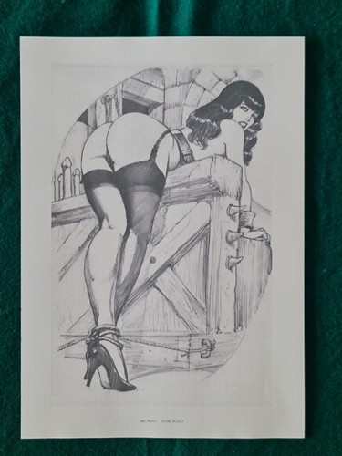 Leone frollo stampa non - leone,