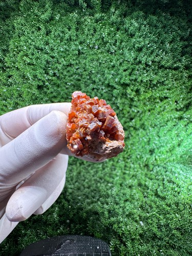 Esemplare vanadinite n1131 - esemplare, /