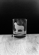 Terranova Cane Incisione