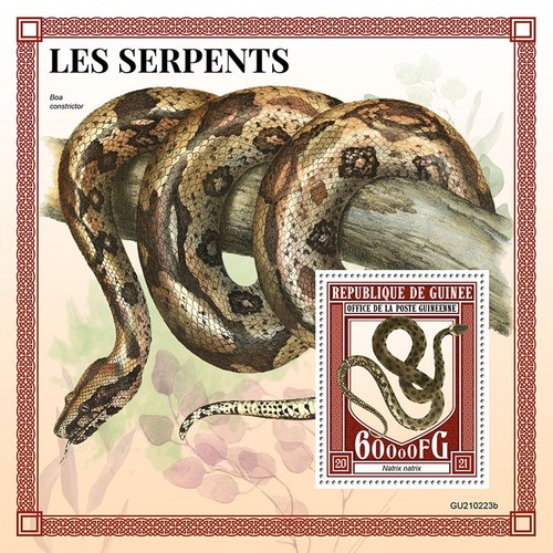 Serpenti