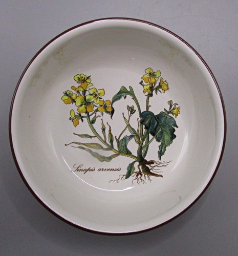 Villeroy boch botanica - villeroy, &