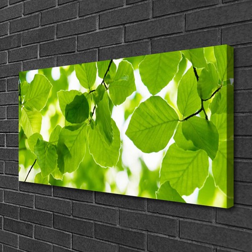 Stampa tela 100x50 - stampa,