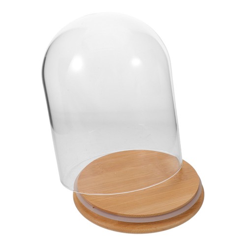 Cloche cupola vetro con - cupola,