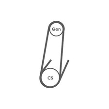 Cinghia Poly V Continental