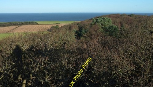 Photo 6x4 oak - photo, sheringham