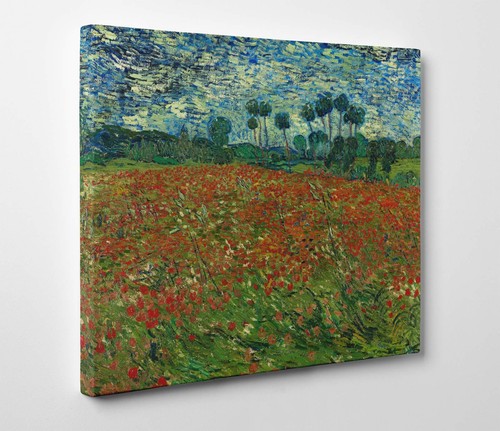 Vincent van gogh campo - vincent, di