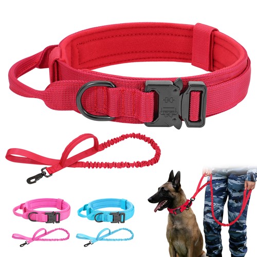 Set collare guinzaglio - collare,