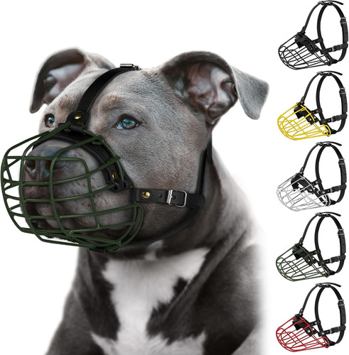 Pitbull museruola per cani - pitbull,