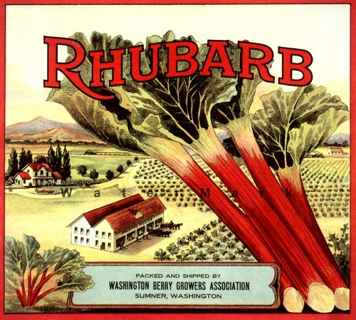Etichetta cassa rabarbaro 1931