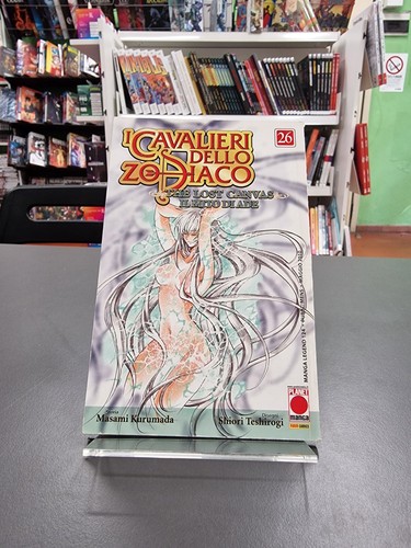 Cavalieri dello zodiaco - cavalieri,