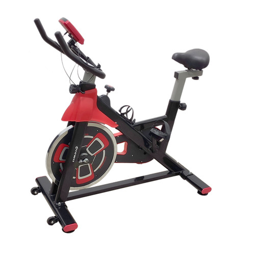 Gym bike professionale indoor - ,