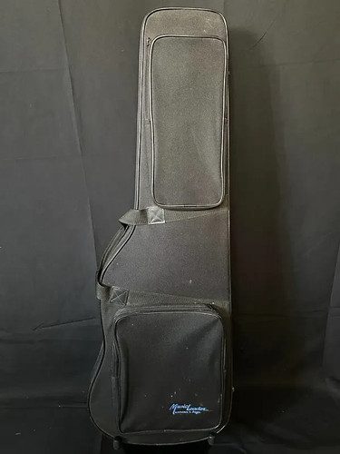 Music leader electric guitar - music,