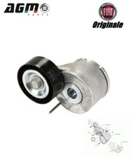 BRANCIO TENDICINGHIA POLLY-V