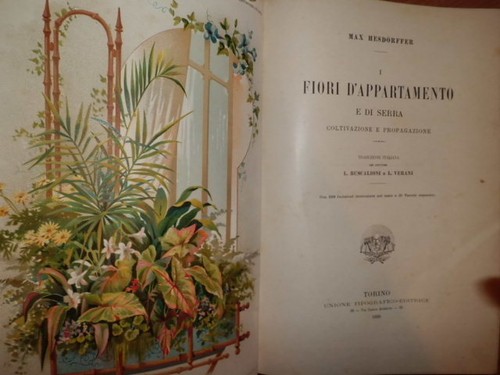 Fiori appartamento e di - i,