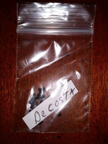 100 semi decosta - 100, op