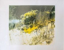 Antonio Pedretti serigrafia su