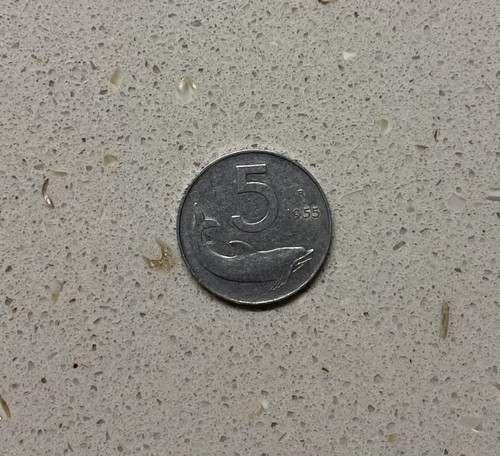Moneta lire delfino - (1955),