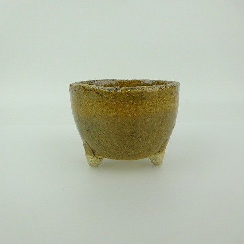 Vaso giapponese per bonsai