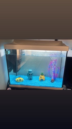 Acquario litri set - 80,