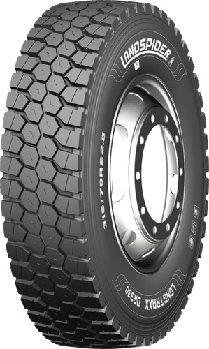 Gomme estive landspider - gomme,