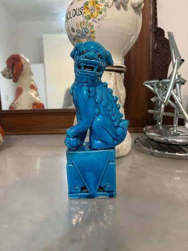 Cane smaltato azzurro - di, fo