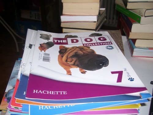 Rivista the dog collection - rivista,