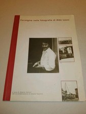 Formigine Nelle Fotografie Di