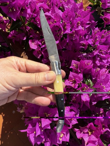 Laguiole coltello richiudibile - laguiole,