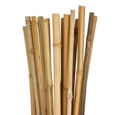 50 Canne di Bamboo Bambù Ø 12/14 mm Decorazione Orto o  Giardino 90 cm o 150 cm